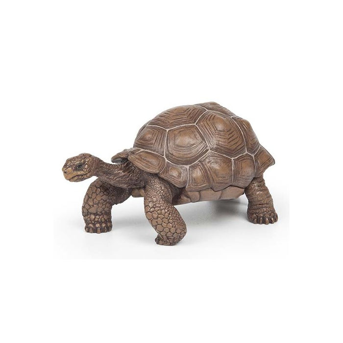 Papo - Tortue des Galapagos