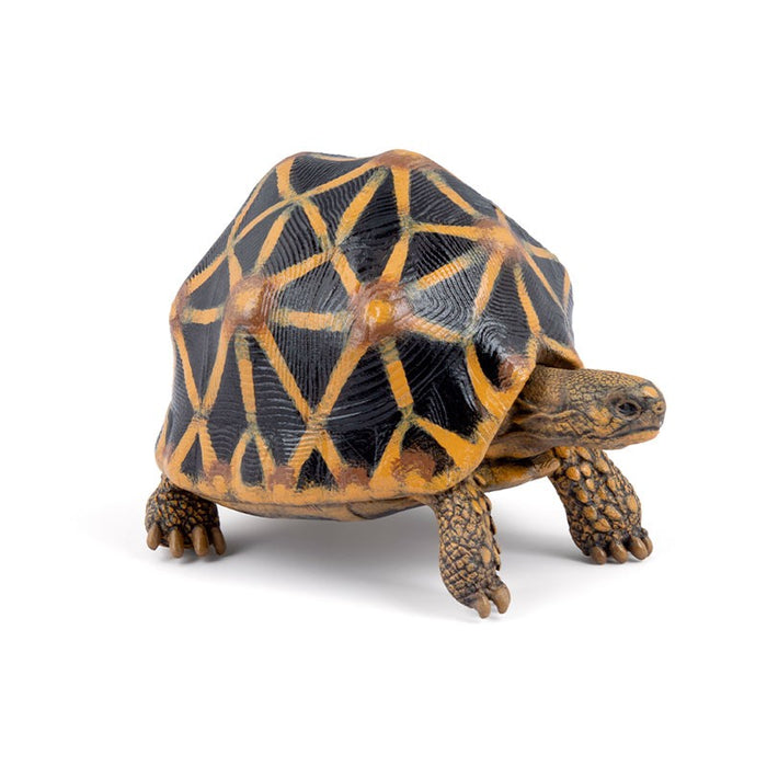 Papo - Tortue Étoilée