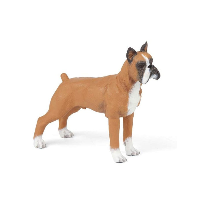 Papo - Boxer