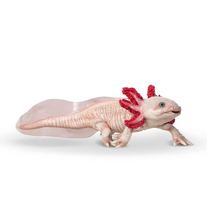 Papo - Axolotl