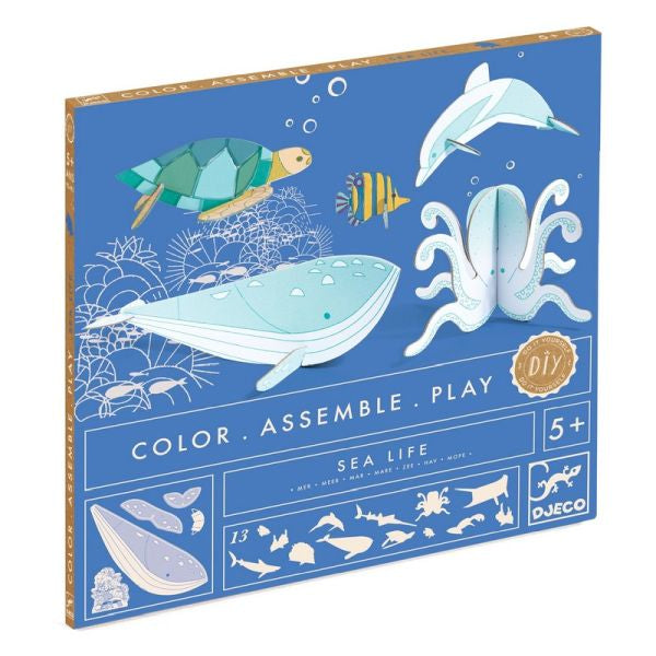 Color Assemble Play - Mer - ML