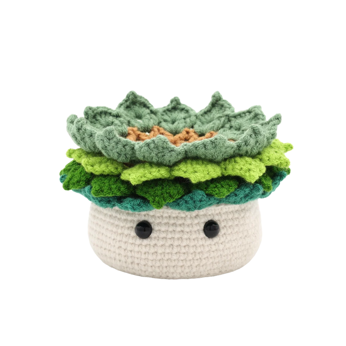 Kit DIY Crochet - Plante - Ravissante succulente