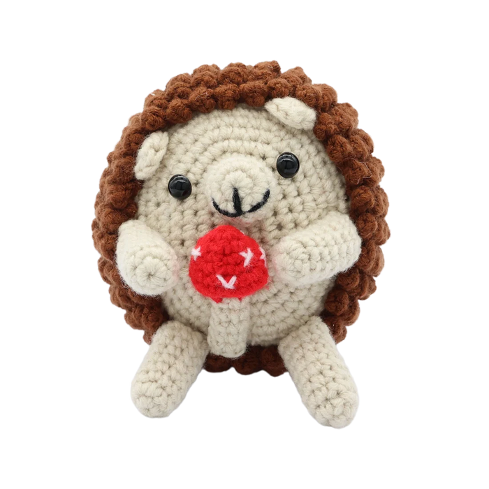 Kit DIY Crochet - Petit hérisson