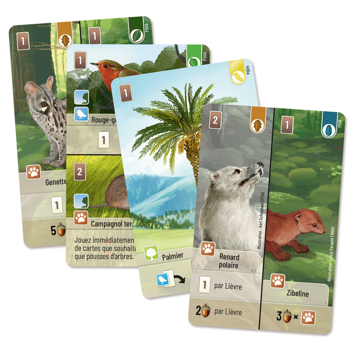 Forêt mixte: extension Exploration - FR