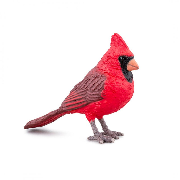 Papo - Cardinal